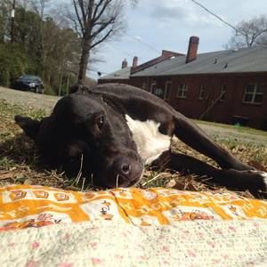 Meet your Posher, Kate